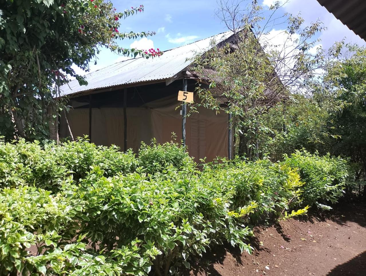 Eco Mara Forest Camp Luxury tent
