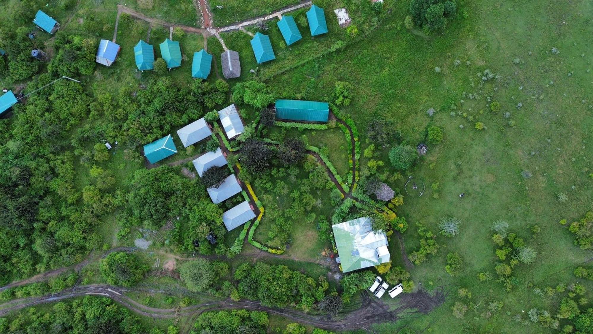 Luxury tent Eco Mara Forest Camp Ololaimutiek
